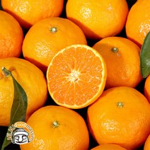블루제주 서귀포 귤로향 2kg (소과 16-22과 실속포장 실중량), 단품