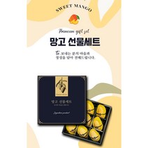 추석명절 망고 선물세트/골드망고6과 9과/애플망고6과 9과/골드망고3과+애플망고3과/골드망고5과+애플망고4과, 애플망고6과 선물세트 3kg 내외