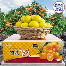 제주 만덕청과 귤 농장 산지직송 노지 감귤 실중량 2kg 3kg 5kg 10kg 15kg, 33.노지감귤 혼합과 (랜덤) 5kg, 1개