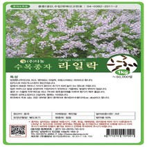 다농원예가든 라일락나무20g