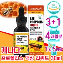 캐나다 식약처 인증 프로 플로 폴라 폴리 포 폴리스 포리스 추출물 플라 프라 보노이드 액상 리퀴드 스포이드 항산화 면역력 면연력 좋은 음식 식품 남자 남성 여성 여자 40대 중년, 3+1 4개월분 - 다니마켓