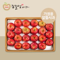 [장길영사과] 감홍사과 알뜰 중소과 5kg(17~23과), 단품