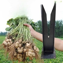 가정용 땅콩탈곡기 수확기 타작기 들깨 깨 탈피기, 땅콩 탈피기2개, 1개