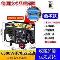 캠핑 미니 휴대용 소형 비상 야영 220v 정전 초소형발전기 가정용 산업용, 6500W 손전등(듀얼스타트) 가솔린 2400V (듀얼