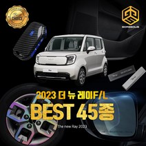 (골져스) 2023 신형 더뉴레이 페이스리프트 용품 튜닝 악세사리 모음, 11_도어스텝 커버 카본