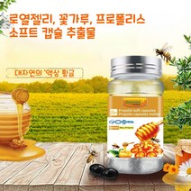 Daynee 순천연 프로폴리스효능 프로폴리스 캔디 100알, 1병