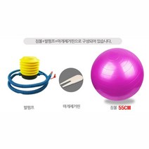쏭쏭이 헬스 짐볼55cm+발펌프+마개제거핀 세트 필라테스 몸매관리 스트레칭 휘트니스용품 공운동 자세교정볼 간편한운동 헬스장볼, 핑크