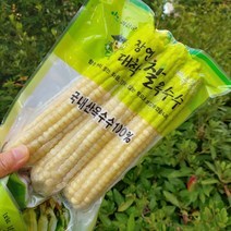 괴산 장연 대학찰옥수수 삶은 찐 냉동옥수수 찰옥수수 옥수수, 30개, 특품(17cm내외)