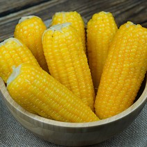 노랑이 찰옥수수 냉동 삶은 옥수수 노랑이 20개 무첨가 찰기좋은 무한푸드몰옥수수, 노랑이 찰옥수수 20개