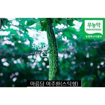 아름담 여주환 60포 여주환효능 인슐린분비 동결건조 유기농 국내산 여주환, 여주환 120g 1상자, 1개