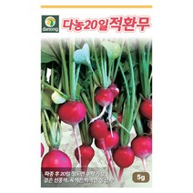 다농 20일적환무씨앗 5g, 1개