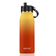 VEEFINE 스테인리스 스틸 빨대 포함 보온텀블러, 오렌지, 946.4ml