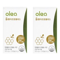 그린 프로폴리스 씹어먹는 폴리폴리스 구미 플로폴리스 추출물 플라보노이드 아연 츄어블 항산화 구강내 항균작용에 좋은 면역기능 영양제 식물성 추어블 캡슐, 120캡슐 x 2개