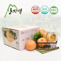 산지애 배그대로 주스 30팩 배즙 100% 착즙 NFC, 30개, 120ml