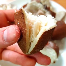 아피오스 인디언감자 인디안감자 알감자 인디언감자 종자, 1kg (식용)
