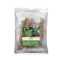국산 와송 건재 100g, 1개