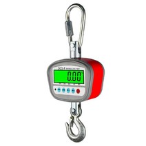 이동식 호이스트 윈치 크레인 리프트 전동 하역, LED 화면 1t  배터리 충전