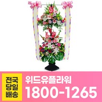 위드유플라워 축하화환 전국당일배송 축하 2단 오브제 C033