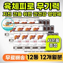 중장년 노인 간건강 간기능 개선 영양제 식약처인증 50대 60대 70대 속쓰림 위장 통증 구토 속이 불편할때 더부룩할때 피곤할때 몸이 무거울때 기운없을때 간청소 간에좋은 간영양제