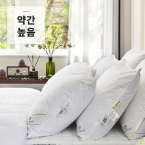 클래식1000 특급호텔 헝가리 구스베개 솜털50, 없음