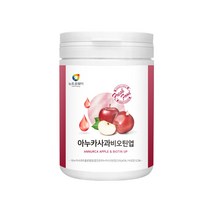 아누카사과120g 비오틴업 프락토올리고당 에리스리톨 19종혼합유산균 사과농축분말 미네랄비타믹스, 120g