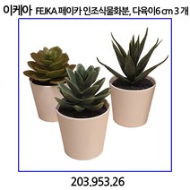 이케아 FEJKA 페이카 인조식물+화분 실내외겸용 다육식물 6 cm 3 개