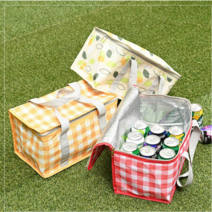 다이소보냉백 다이소 아이스박스 보냉가방 12L, 그린리프