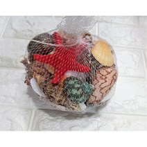 리얼 조개 믹스 망-진짜 조개 조개껍질 소라껍질