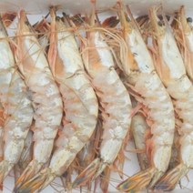 자연산 대왕 대하 11미 1kg, 1개