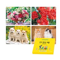 새샘 인지 향상 퍼즐 변별력 향상편, 1개