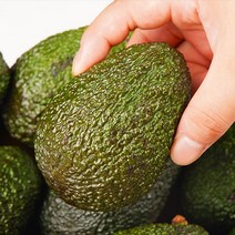 농가살리기 뉴질랜드 생 아보카도 최상급 avocado 특대 1kg 2kg 4kg, 특대과)아보카도(1kg /4~6과 내외)