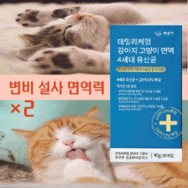 펫생각 강아지유산균 고양이유산균 강아지변비 고양이변비 강아지입냄새 강아지변냄새 고양이입냄새 고양이변냄새 고양이 오줌냄새 대형견 소형견유산균, 2박스