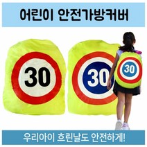 비엘씨 방수 캐리어 가방 안전 커버