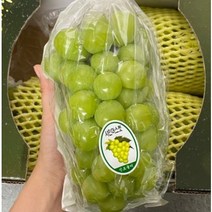 농가 직영 샤인머스켓 가정용 선물용1 1kg 2kg 직장선물 명절선물 추석선물 행사선물 단체선물, 2kg(4~6수)