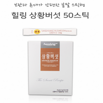 상황버섯 뽕나무 목질진흙버섯 가루 펠리누스린테우스 Phellinus linteus 물
