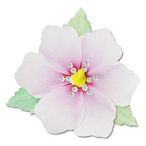 우리나라 무궁화팽이(5인용) 992294, 단품