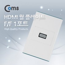 월플레이트 HDIM 1포트 F to F 판넬형 ITA063, 1, 1