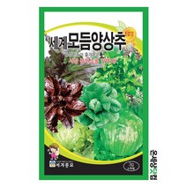 세계모듬양상추 3g / 양상추씨앗 채소씨앗 양상추씨 텃밭씨앗