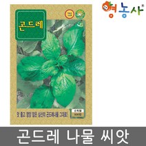 곤드레씨앗 100립, 곤드레