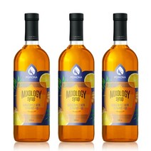 포모나 믹솔로지 진저레몬 시럽 1000ml, 3개