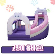 (인더짐) 고양이 홈바운스