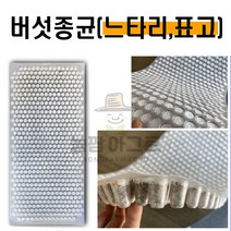 [느타리 표고 버섯종균] 606알 캡슐형 1판 접종 성형 버섯종균, 느타리버섯종균 1판(606알)