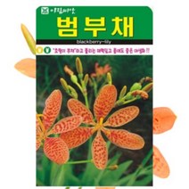 범부채 씨앗 70립/ Blackberry lily 꽃씨 몰 홈가드닝 주말농장 텃밭 키우기