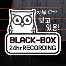 [뭉키데코] 주유구스티커_LSC-996_부엉이 블랙박스 녹화중 01, 블랙