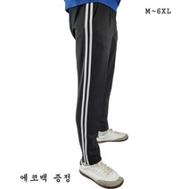 빅사이즈 2줄 슬림긴 바지 츄리닝 운동복 체육복 트레이닝 팬츠