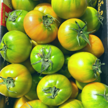 [농협인증] 프리미엄 정품 짭짤이 토마토 1kg 2.5kg s 2s 3s사이즈, 2s~3s사이즈 짭짤이토마토 1kg