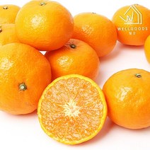 [웰굿] 당도선별 제주 카라향 1kg(12-15과 소과 15brix이상)