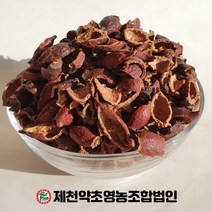 금앵자 500g 중국산 제천약초영농조합 제천약초시장, 1, 500