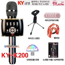 금영 뮤즐KY-K200 블루투스무선마이크형 휴대용노래방