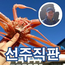 [만성호 선주직송] 가성비 연지홍게 4kg 자숙 포항 구룡포 다리수율보장 B급 비품 라면용